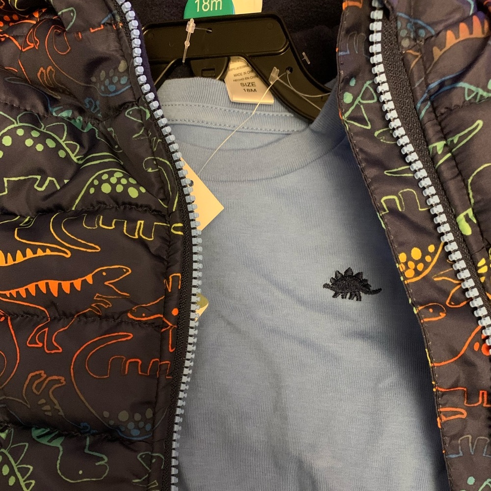 dinosaur puffer jacket set - Picture 6 of 6